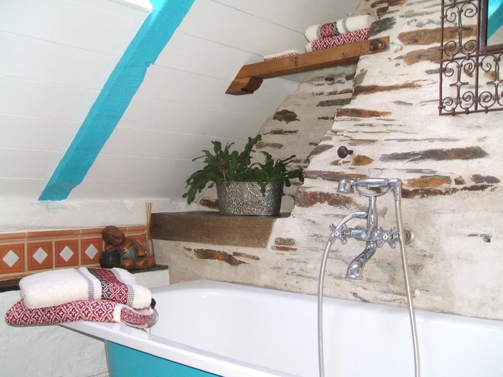 Le Petit Logis De Tinteniac Анже Номер фото